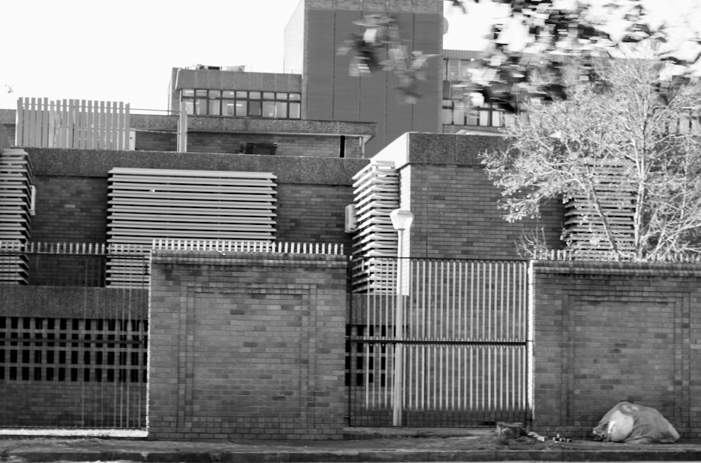 a black and white photo of a gated building with a tree
