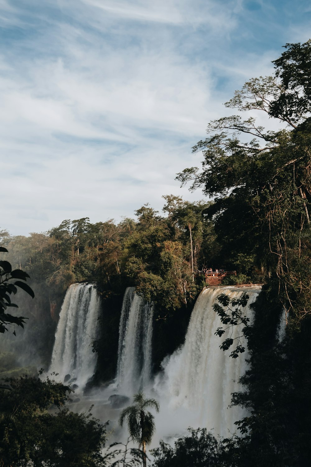 a waterfall surrounded by trees