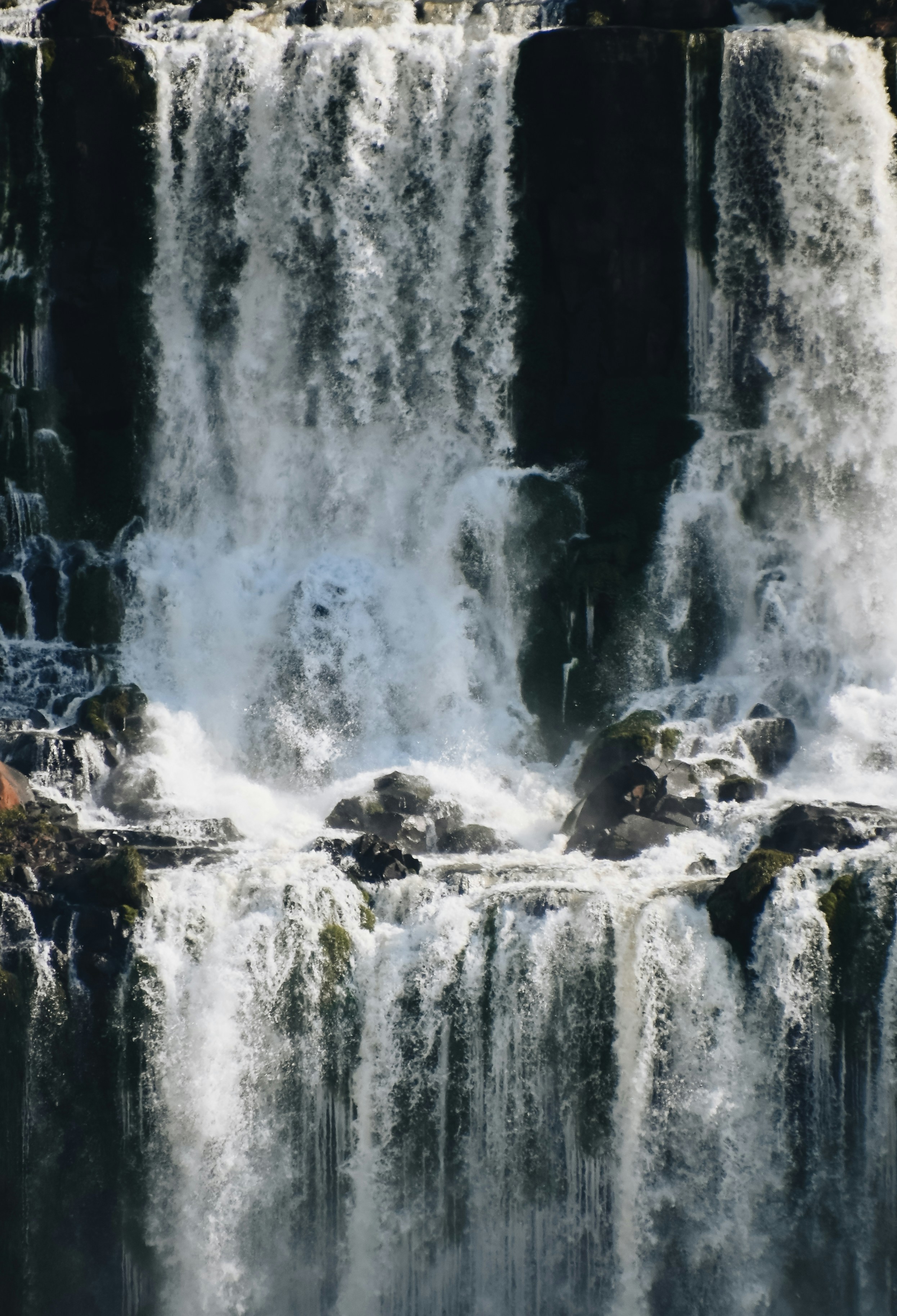 Photo by domiesharpin