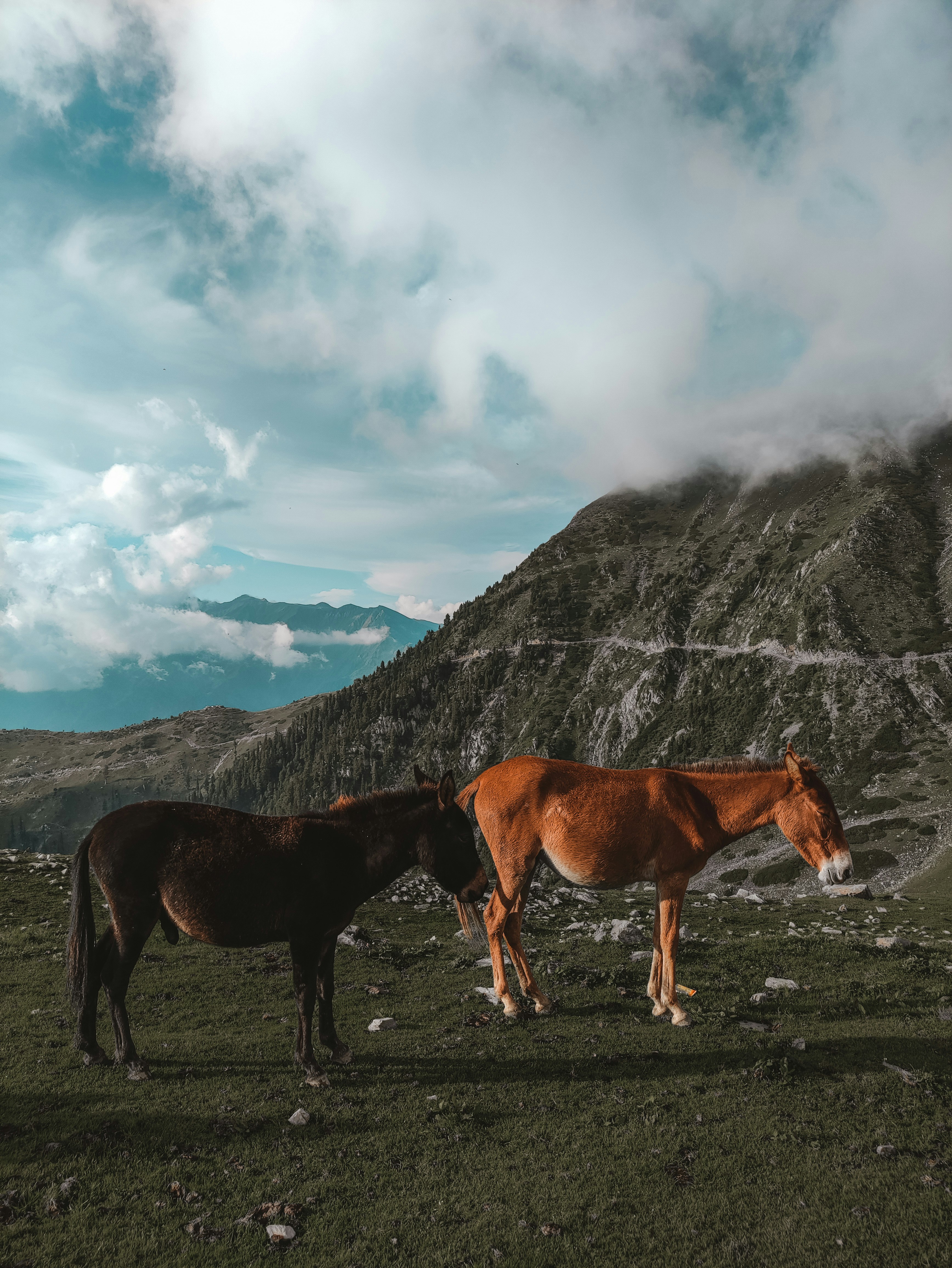 Photo by manshagenic