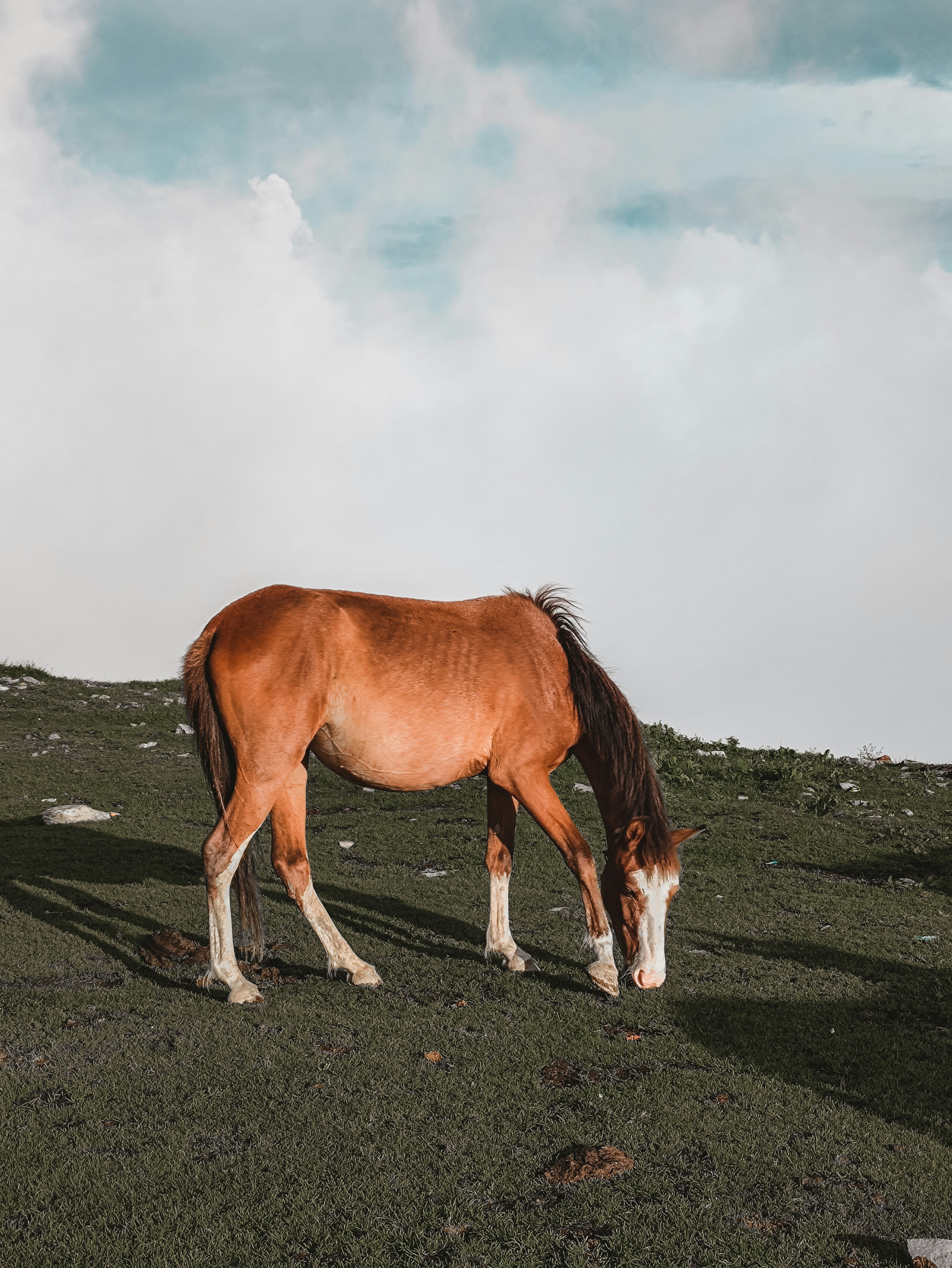 Photo by manshagenic