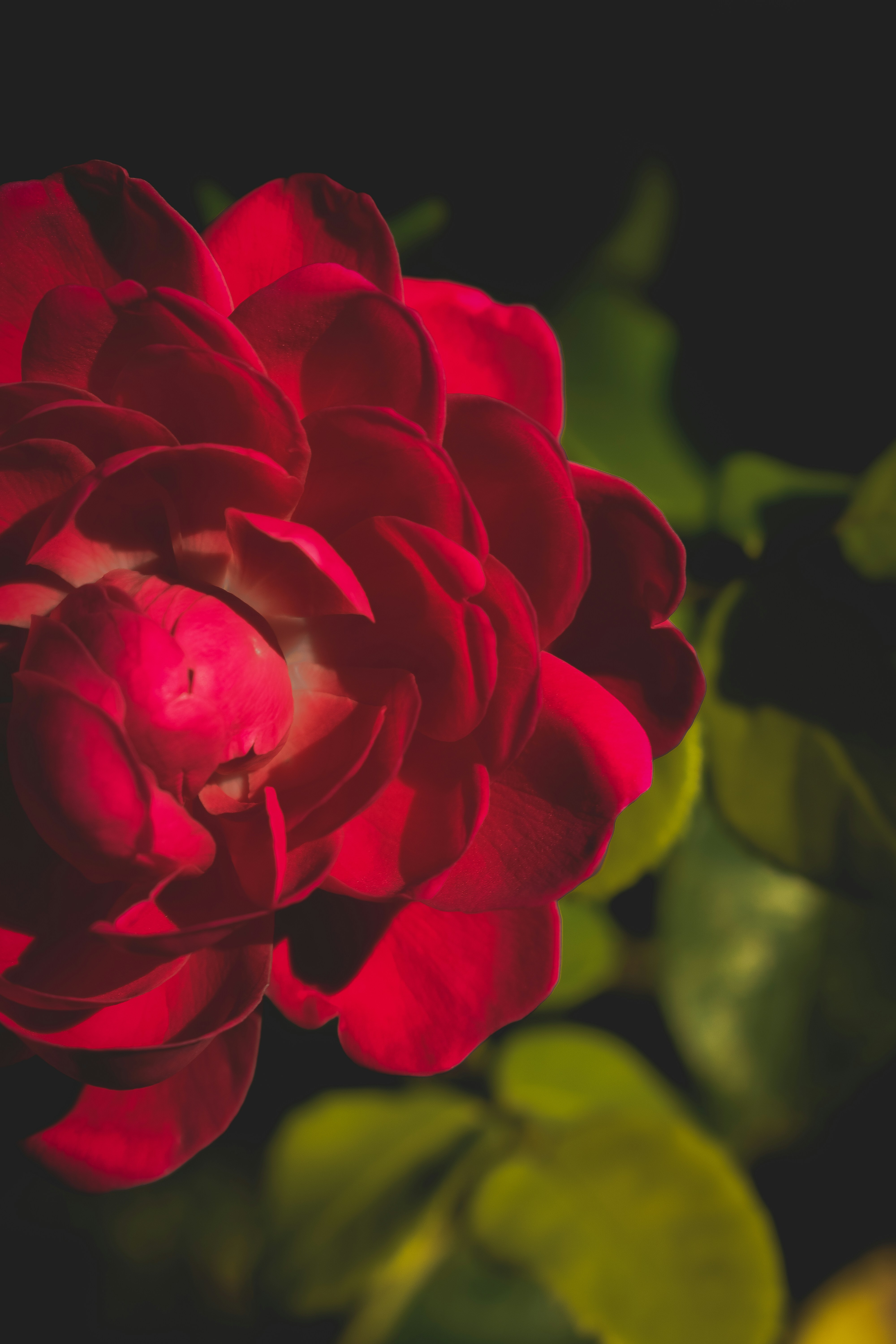 Photo by andreeamarialoga