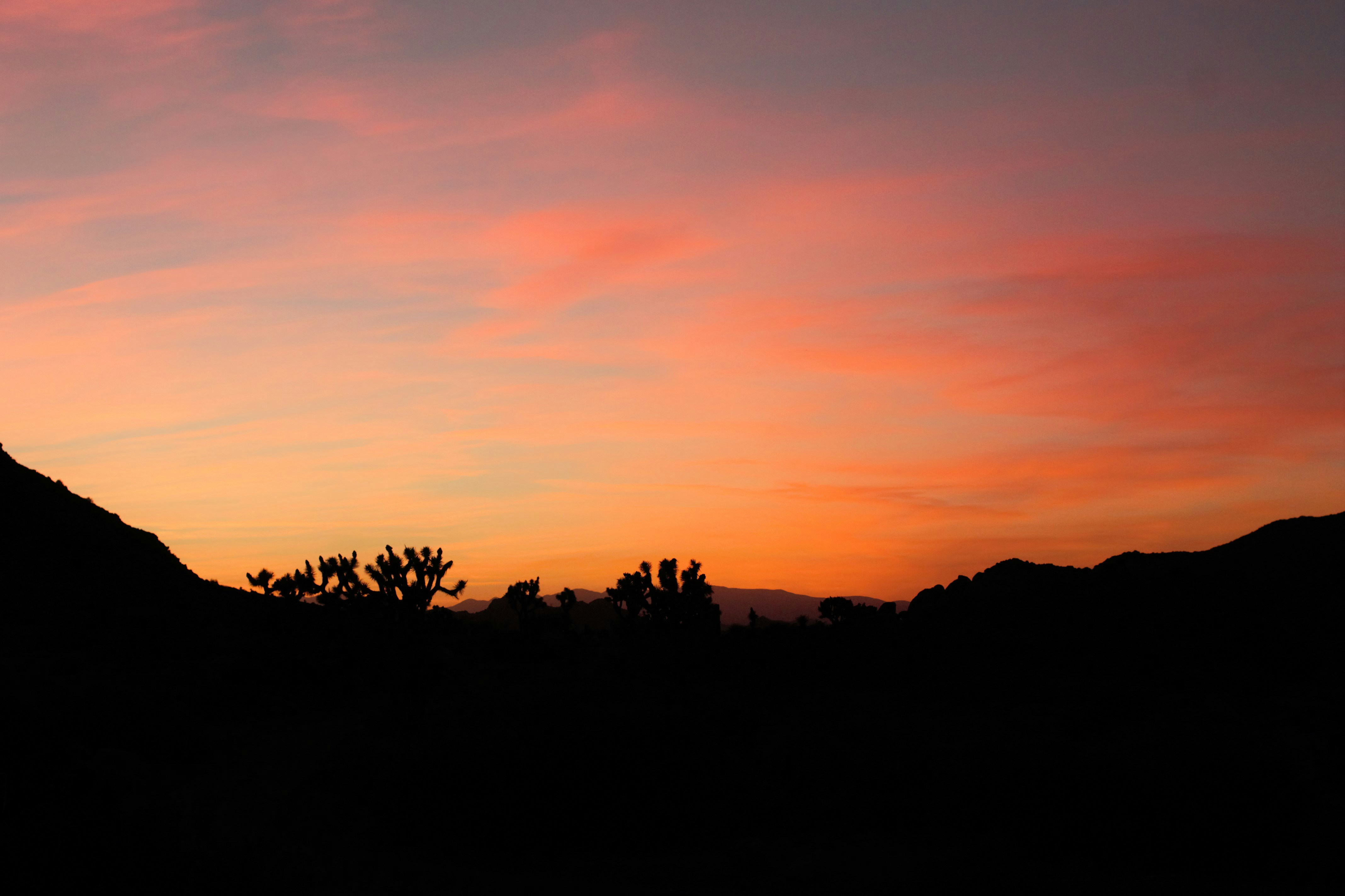 Photo by satterfieldgroup