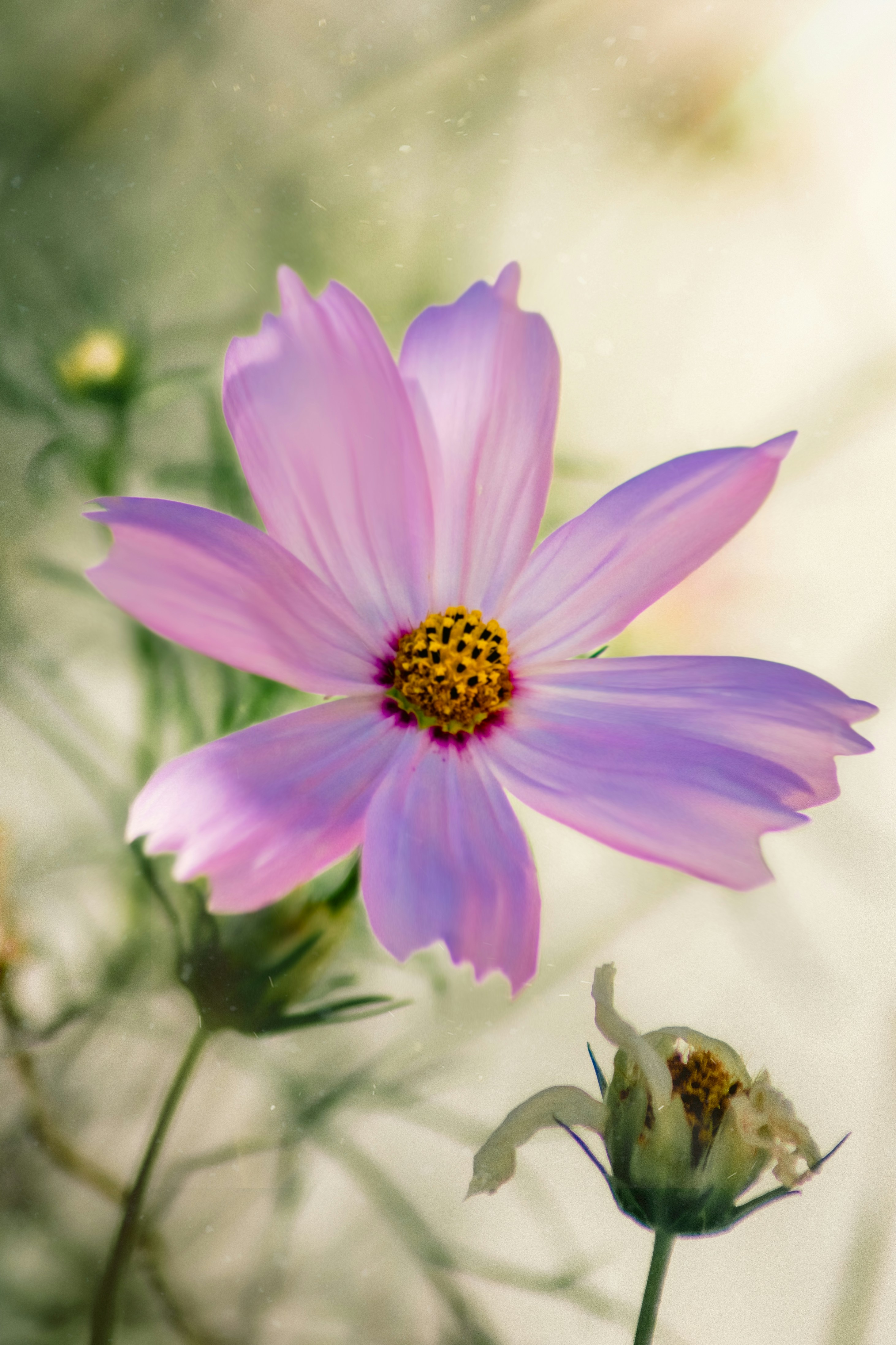 Photo by william_rudolph