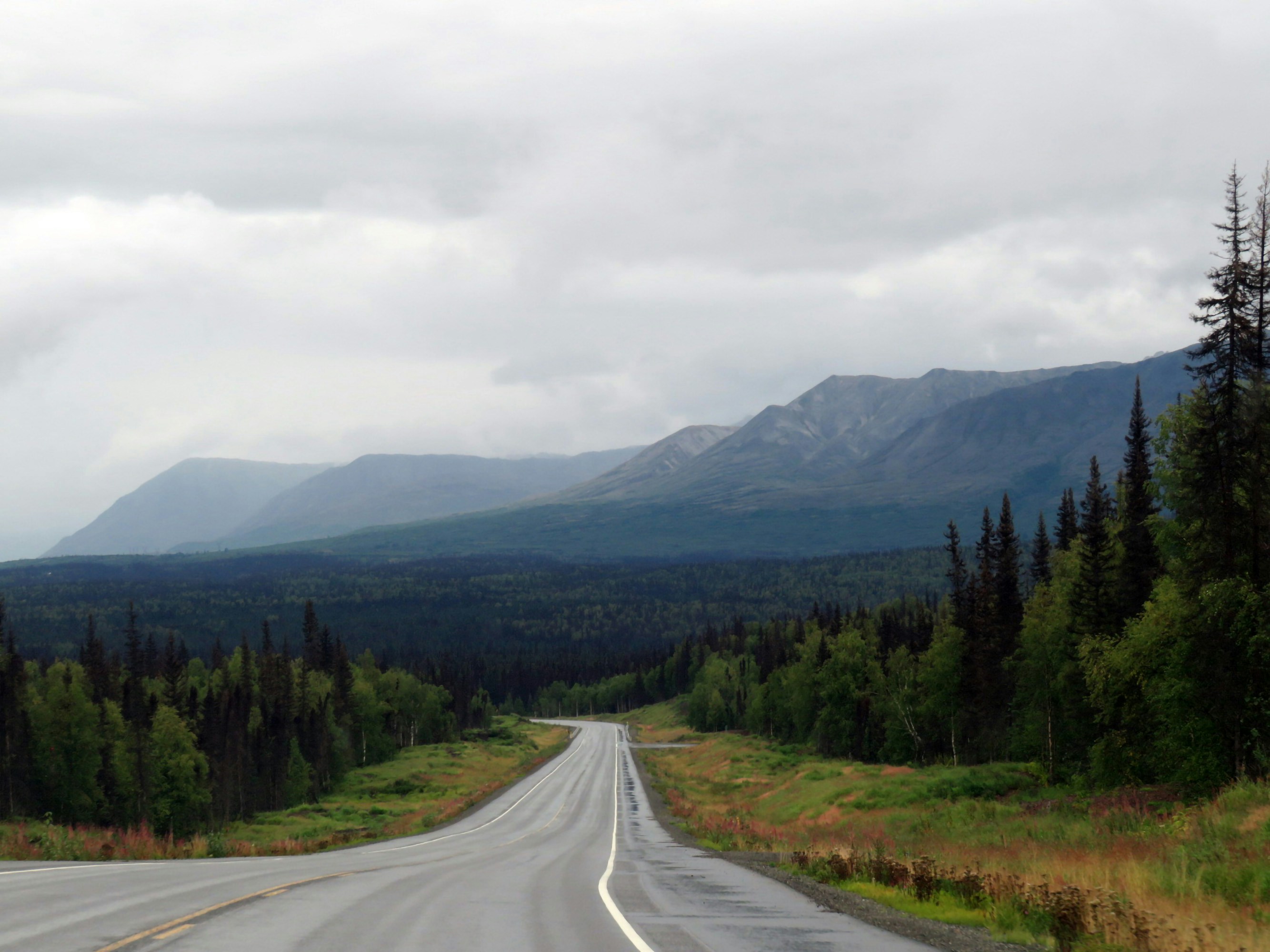 a road with trees on the side, 