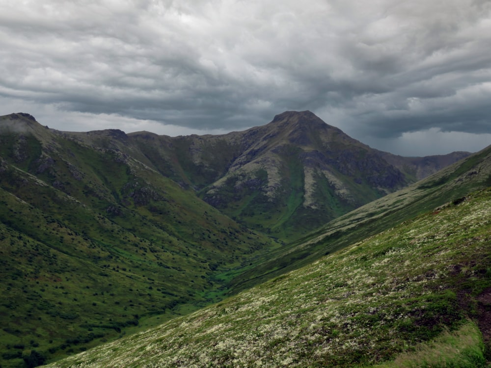 a grassy valley with mountains in the background