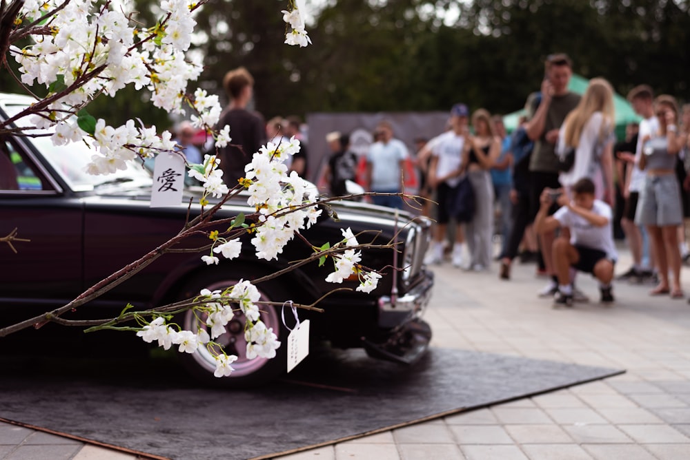 a car with flowers in the trunk