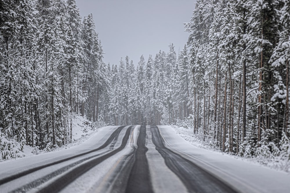 uma estrada com neve ao lado