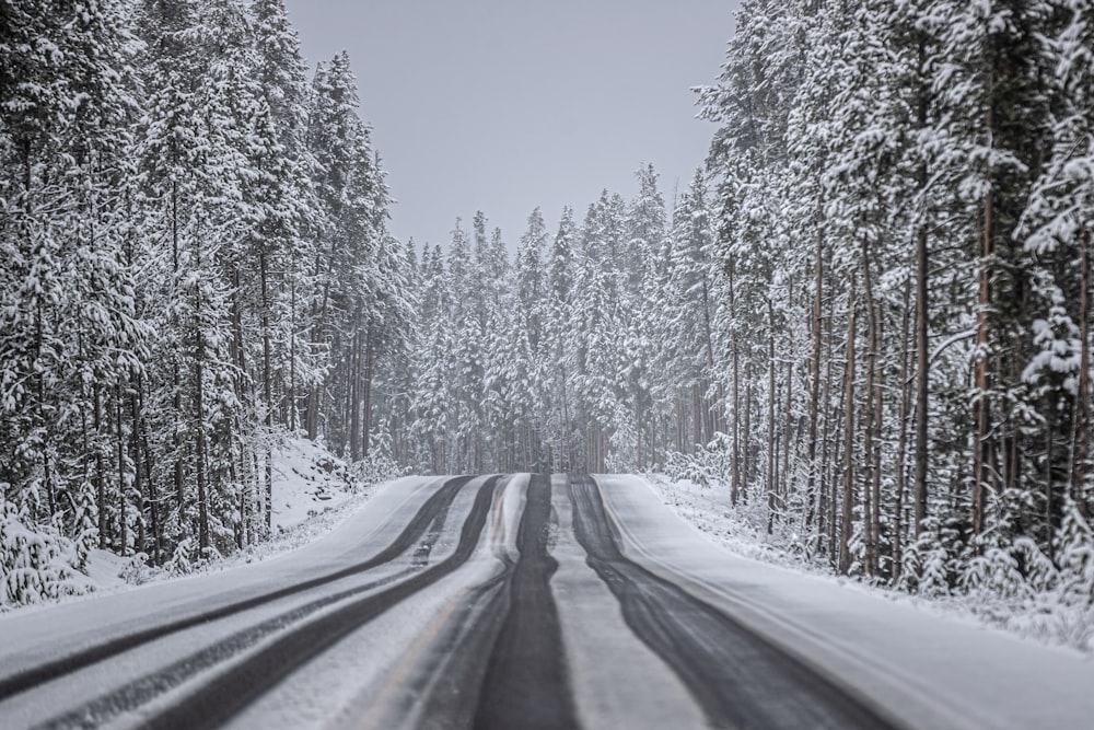 a road with snow on the side