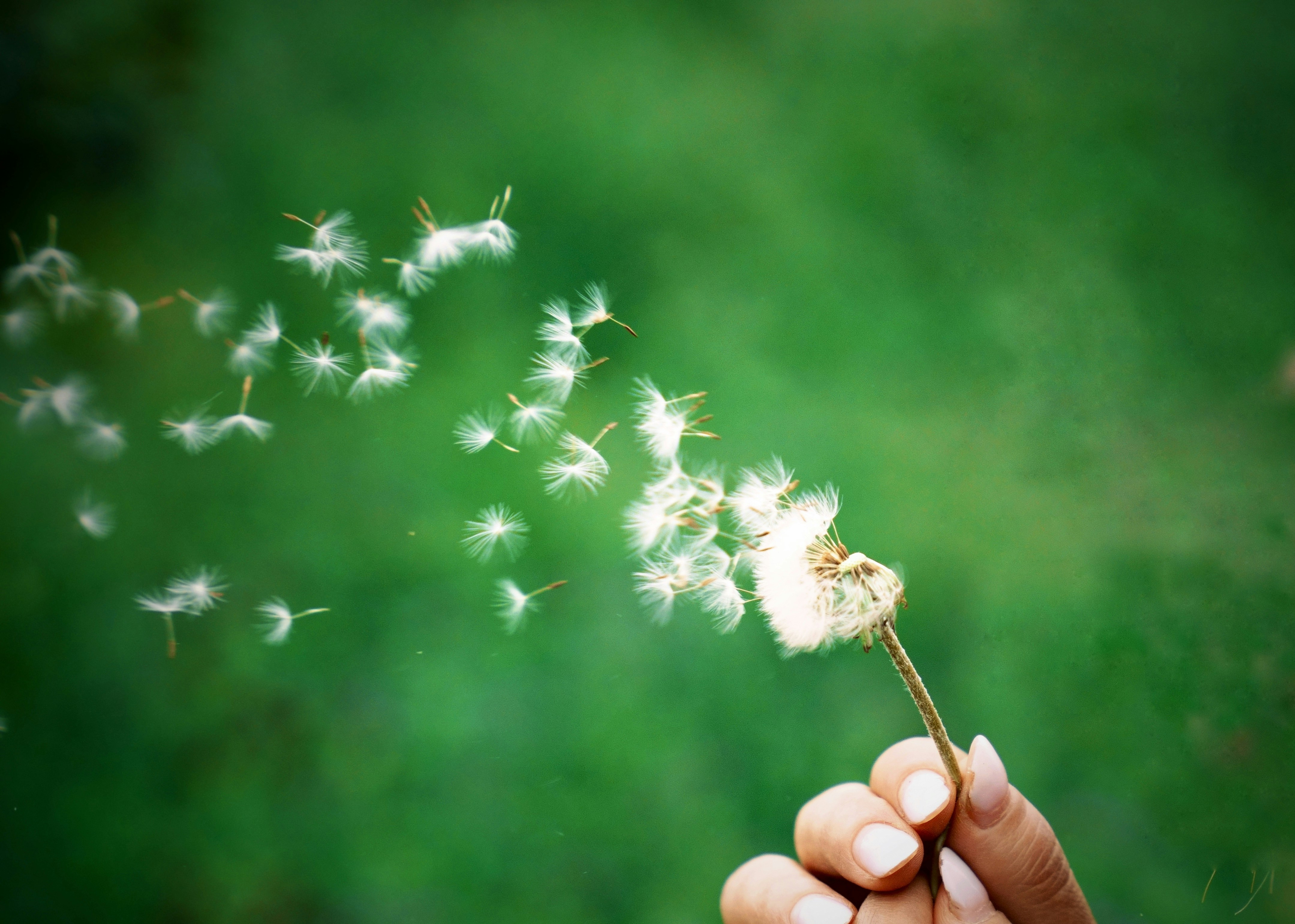 When Someone Takes Exception: What to Say - Healing Wishes