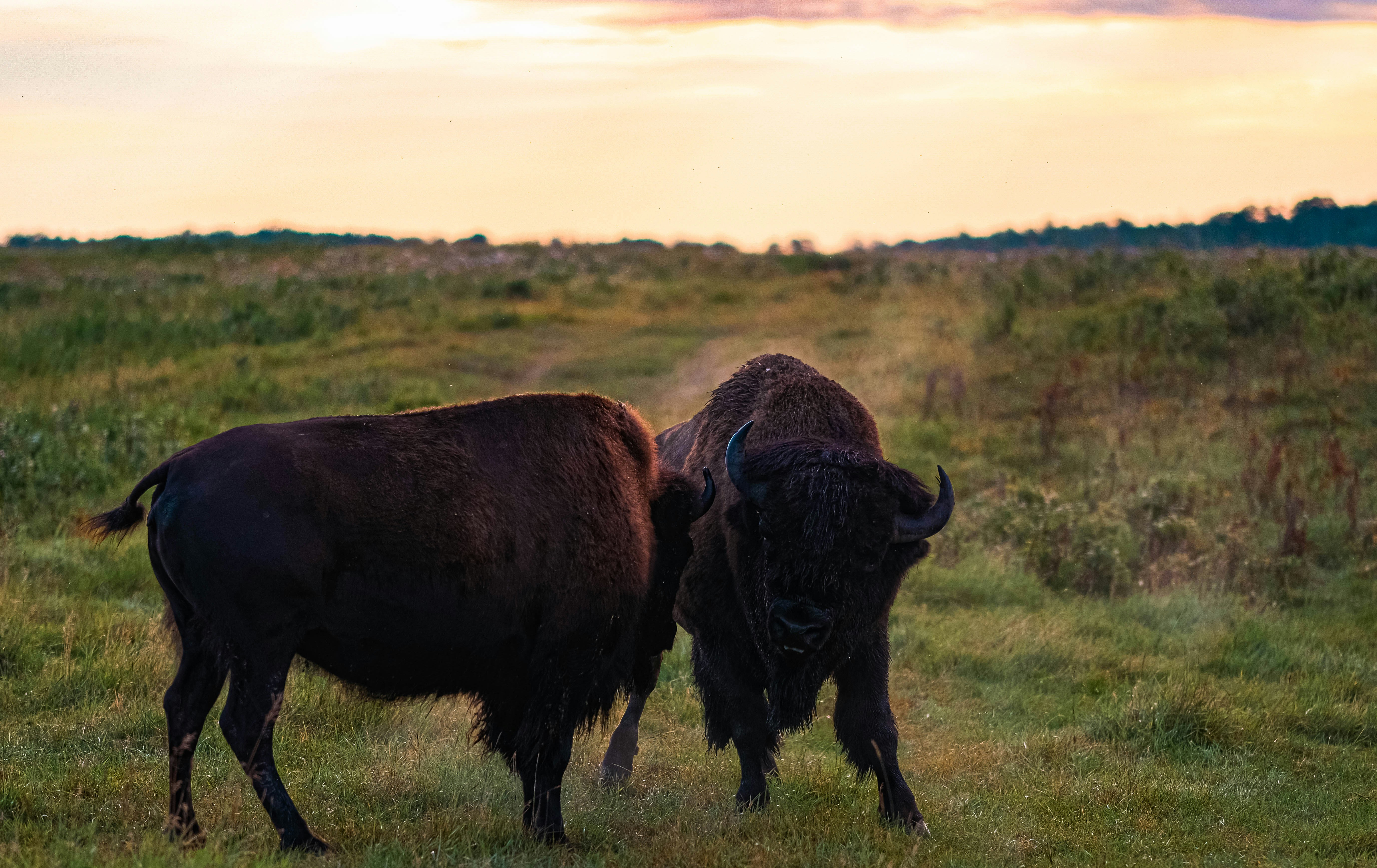 Photo by mccoy_snaps