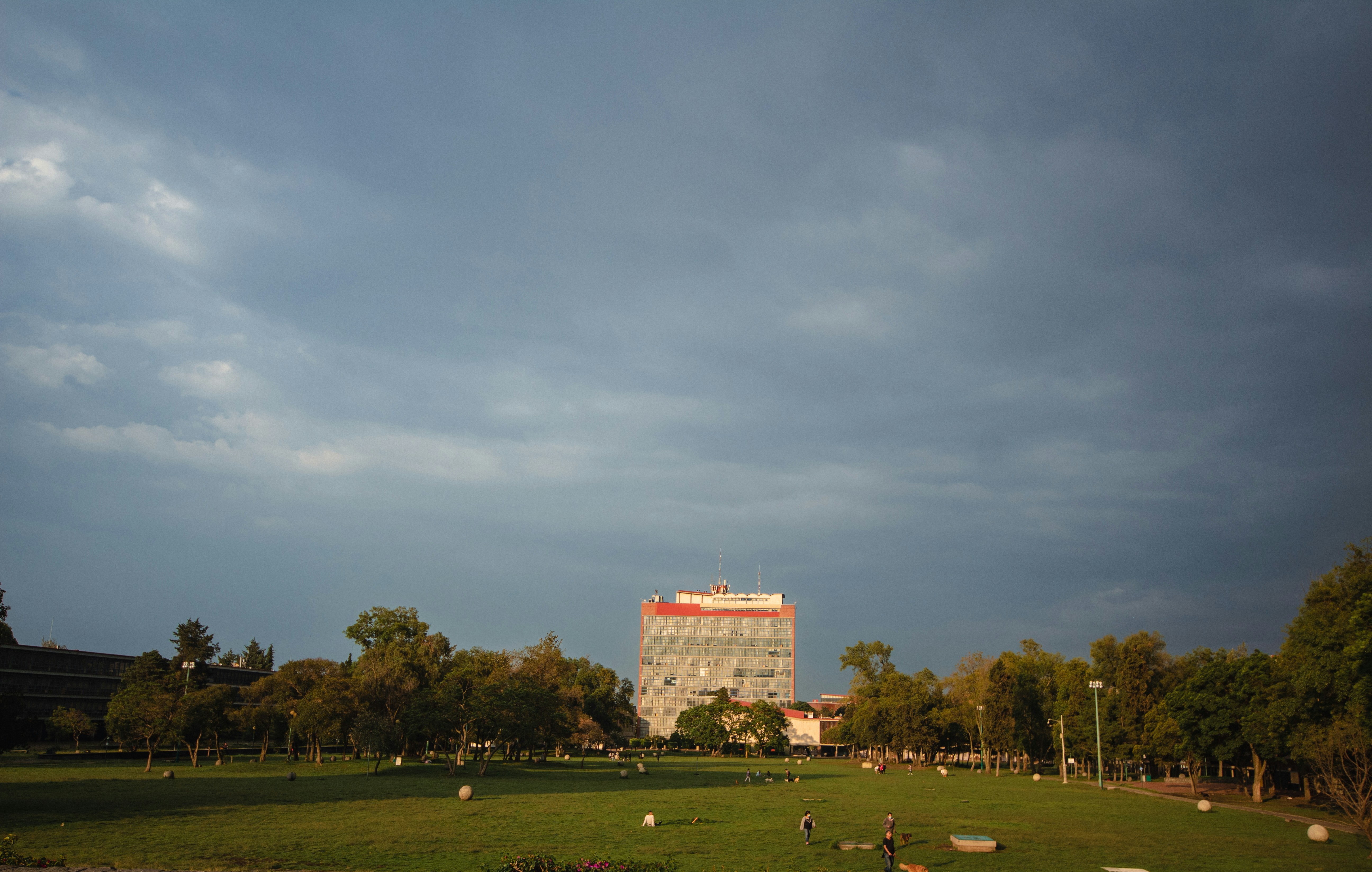 a large grassy field with trees and a building in the background