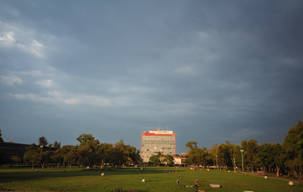 un grande campo erboso con alberi e un edificio sullo sfondo