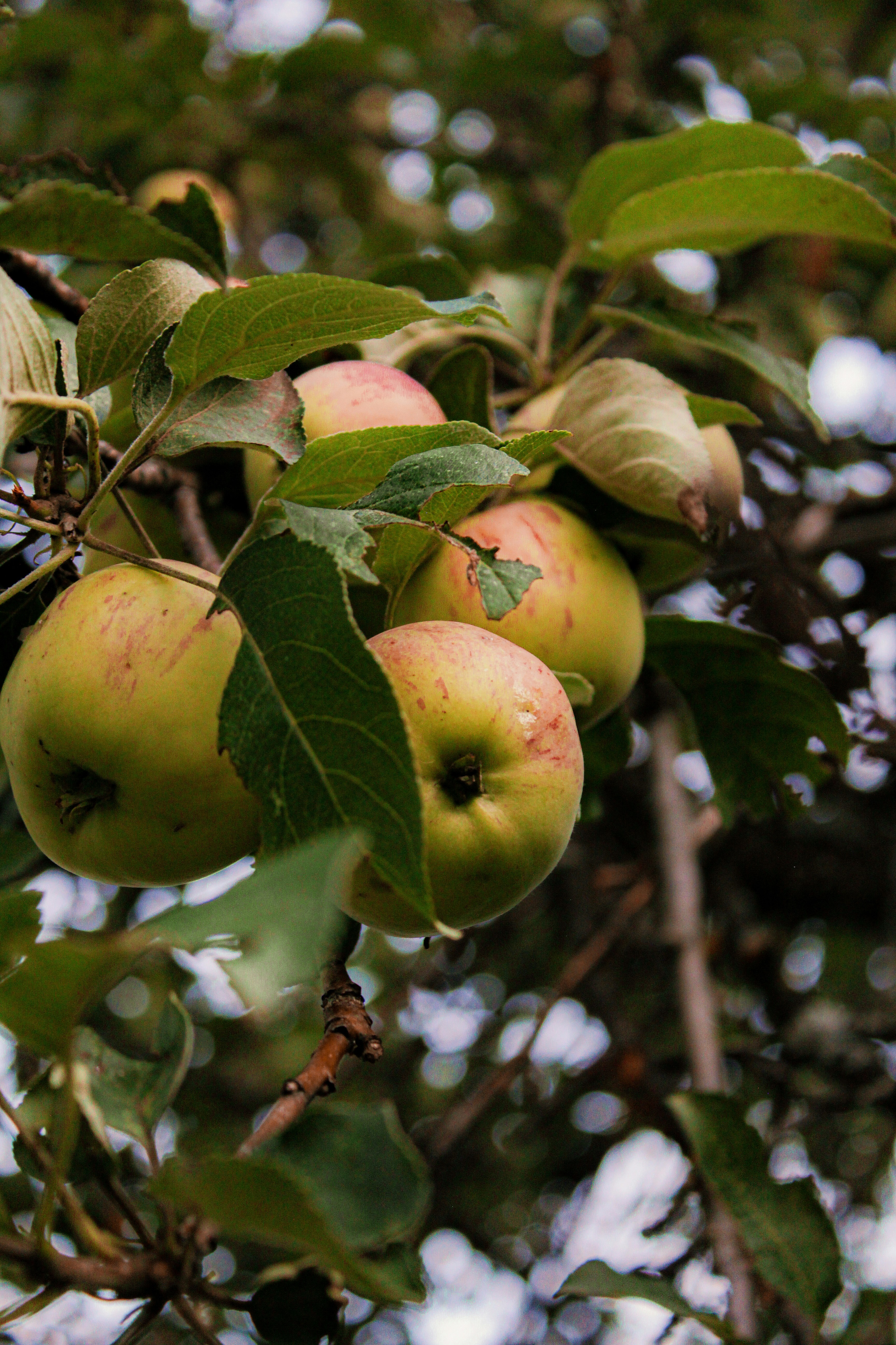 Photo by katherinestpierre