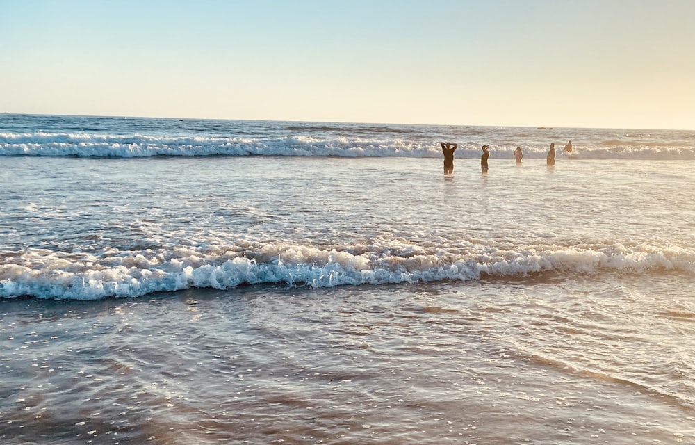 people in the water