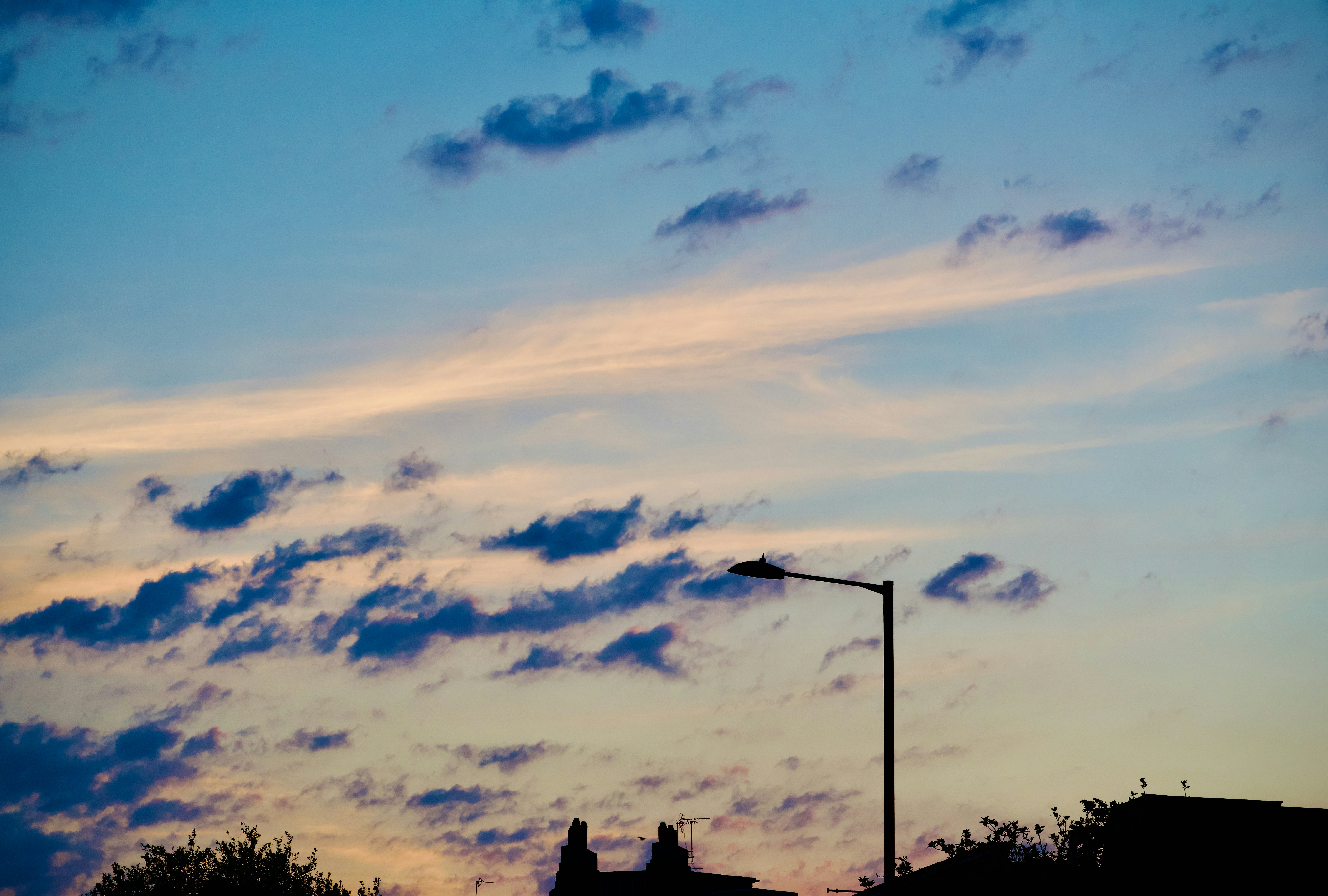 Photo by raw_avocado