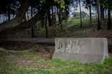 A concrete barrier with graffiti in an outdoor setting, surrounded by trees and greenery. The ground is covered with grass and fallen leaves, while a large tree extends its branches nearby. A pathway is visible in the background.