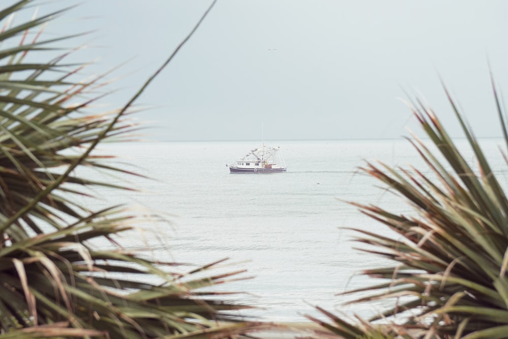 a boat in the water