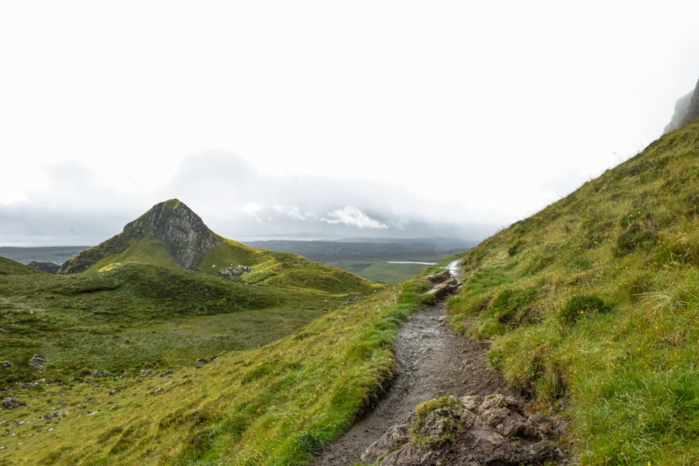 a dirt road in a grassy area