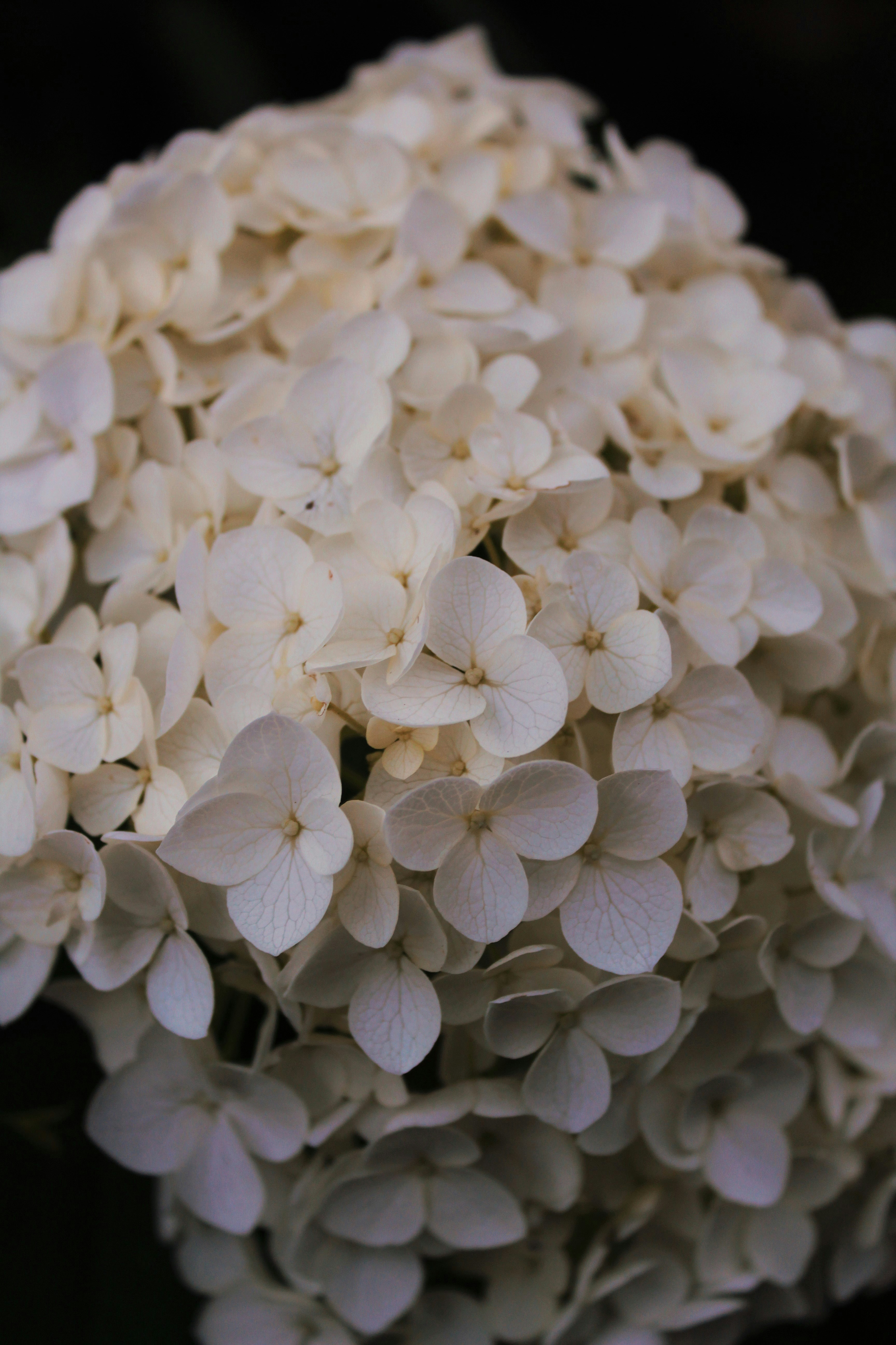 Photo by katherinestpierre