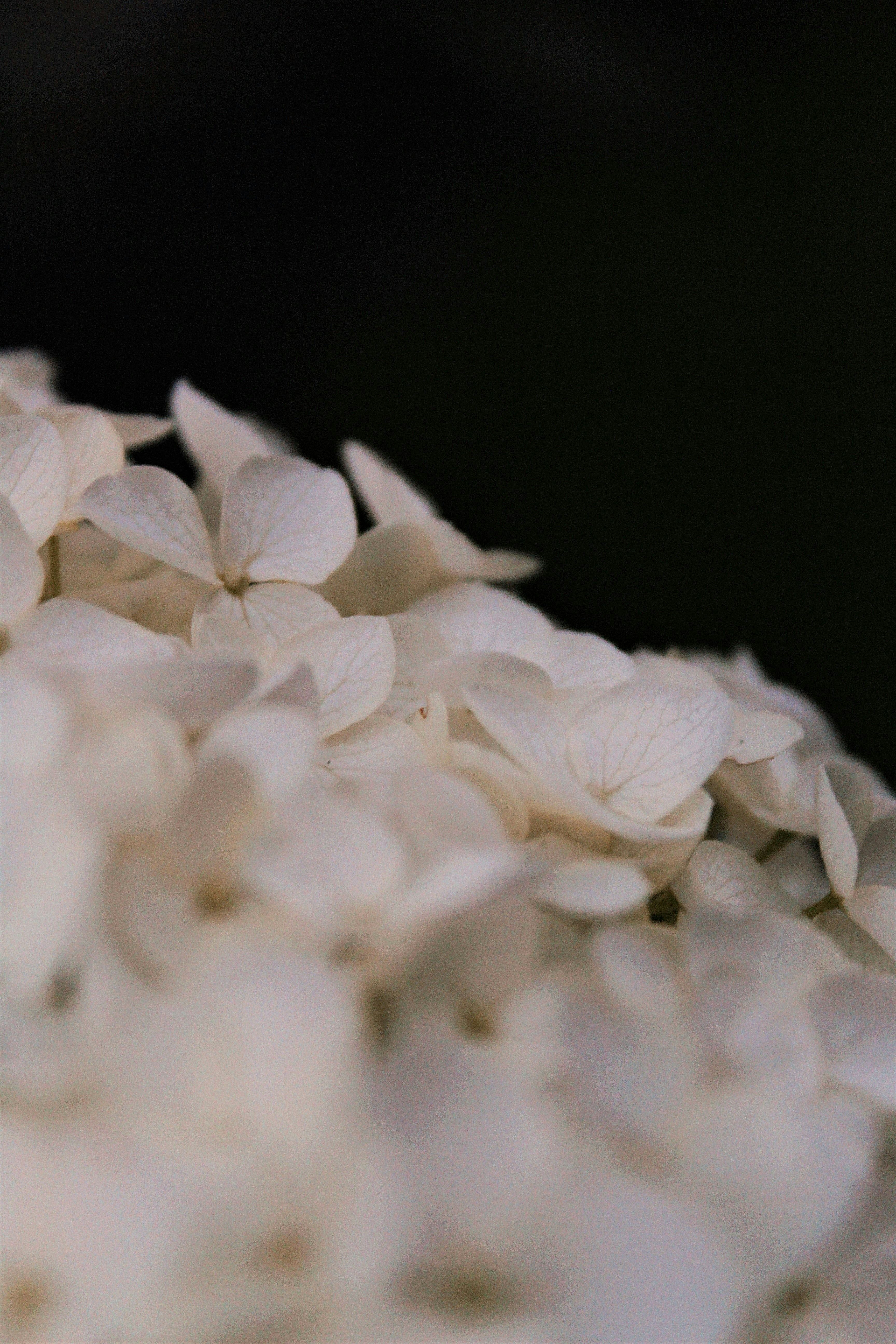 Photo by katherinestpierre