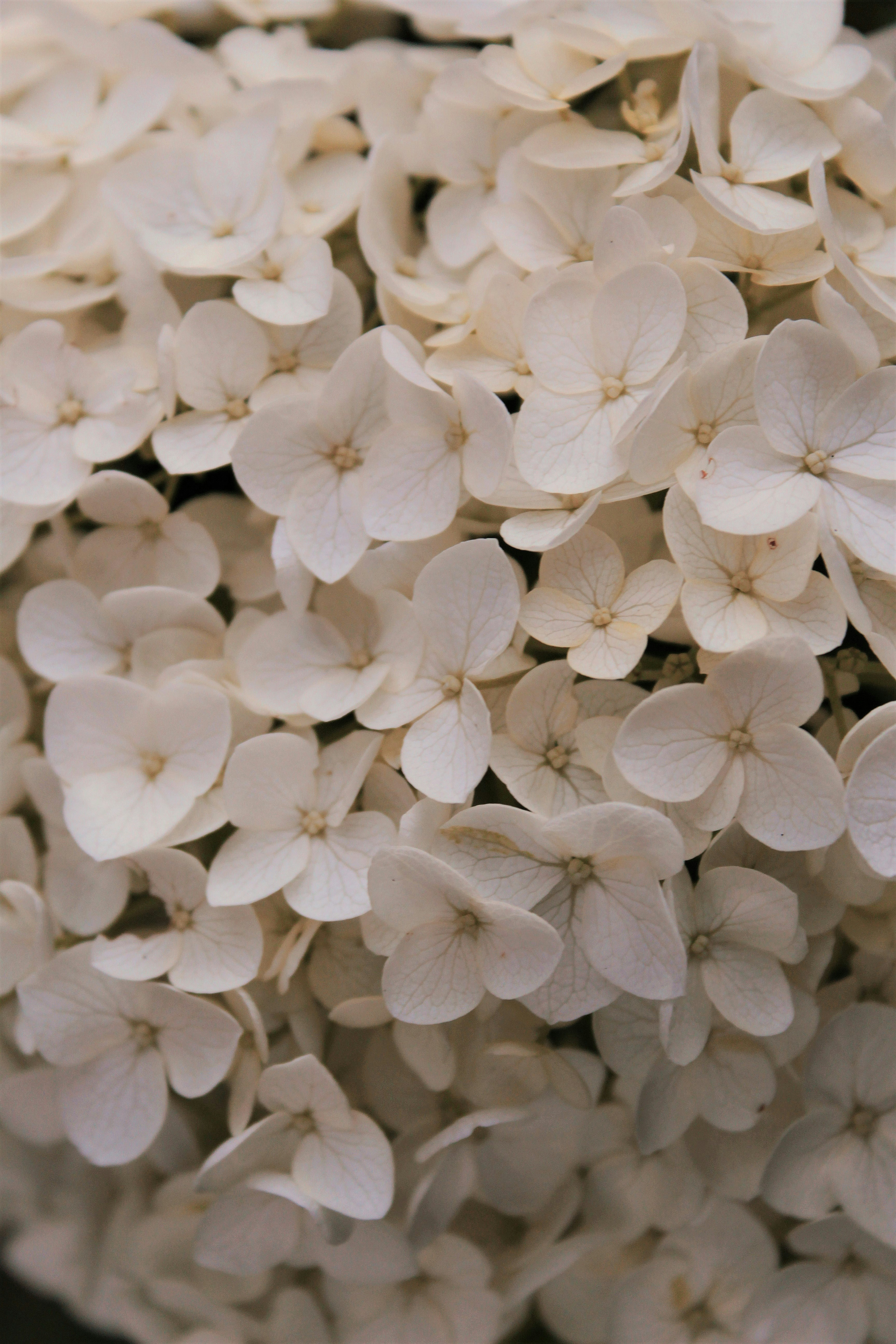 Photo by katherinestpierre