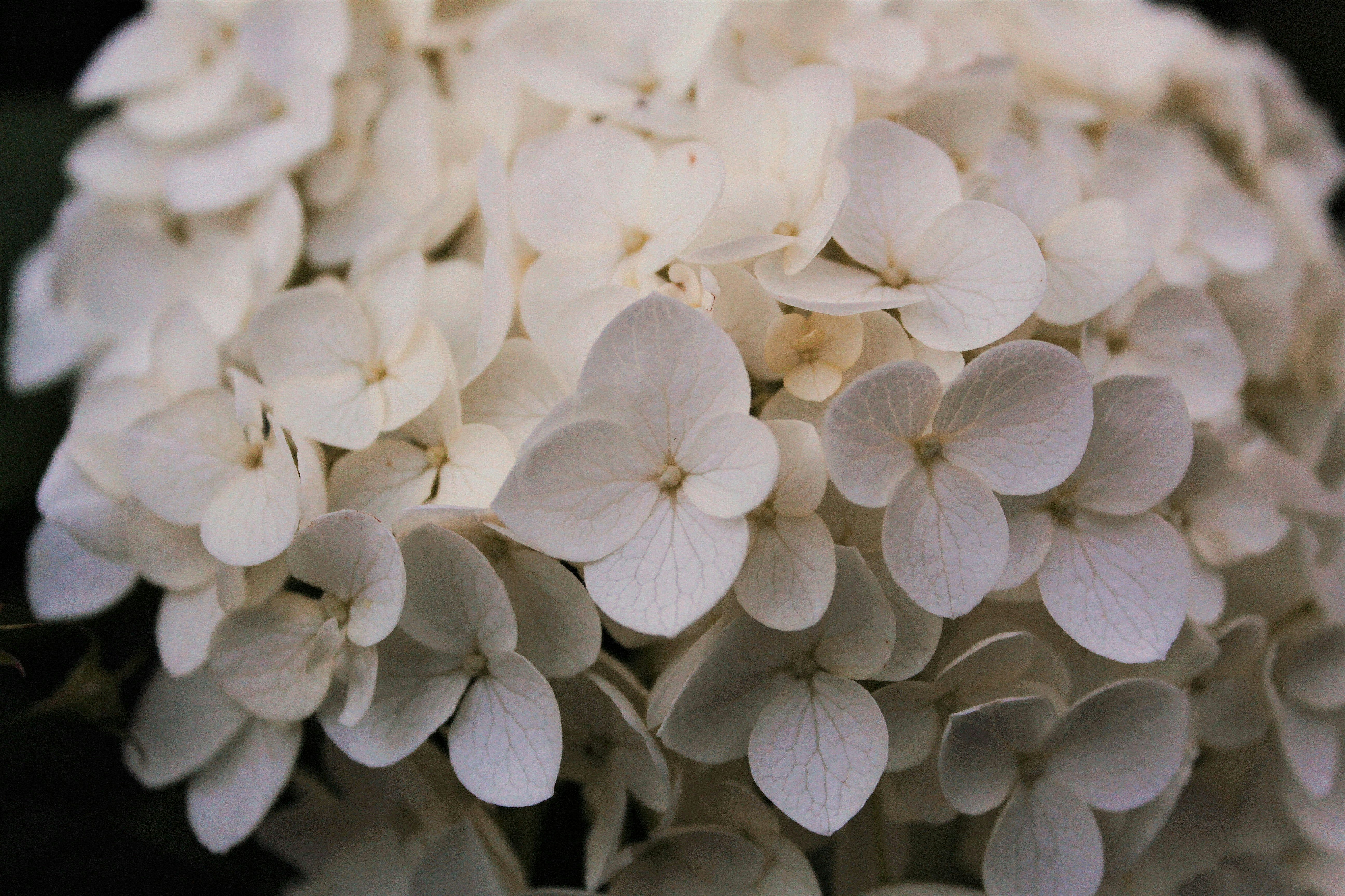 Photo by katherinestpierre