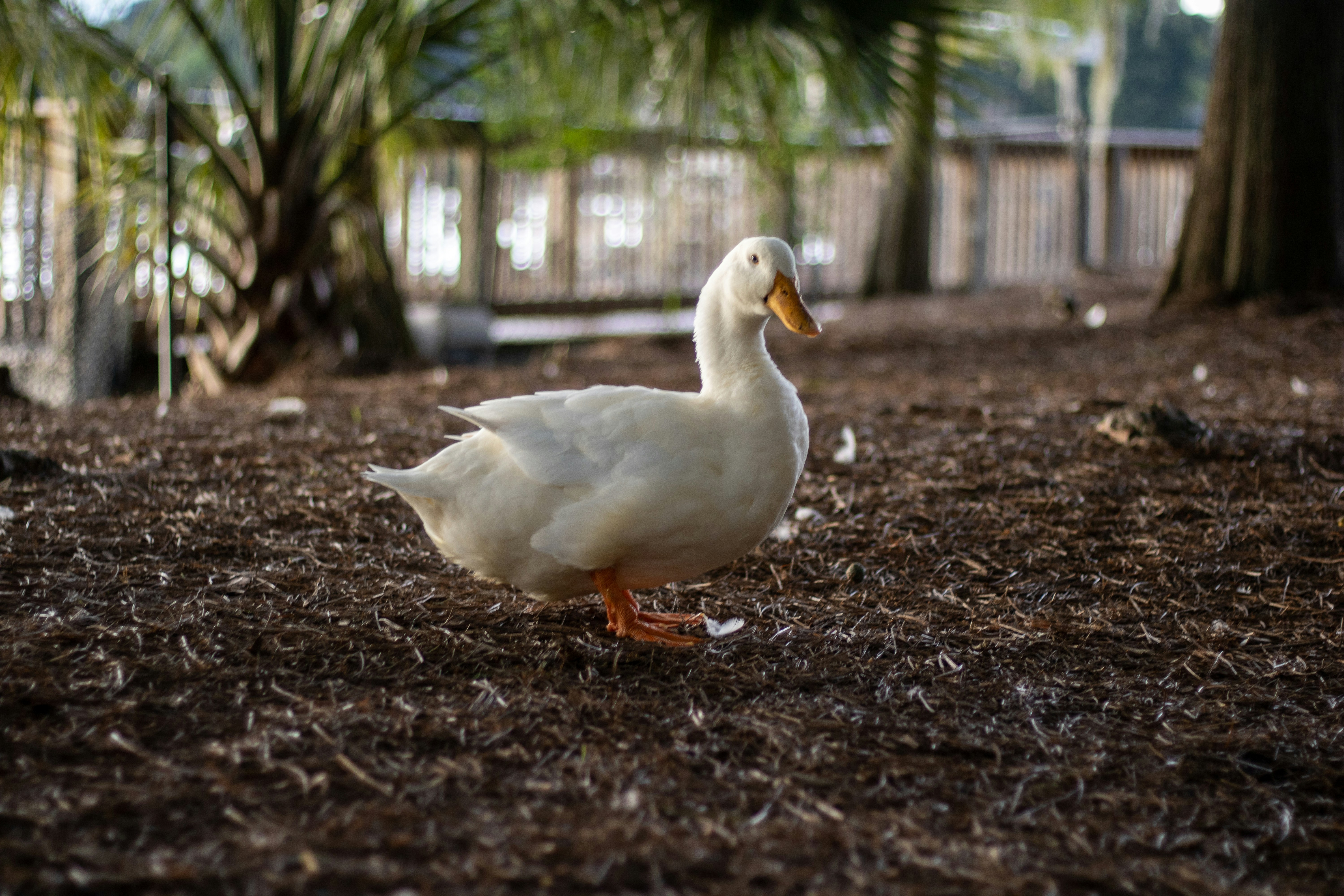 Photo by navarrovisuals