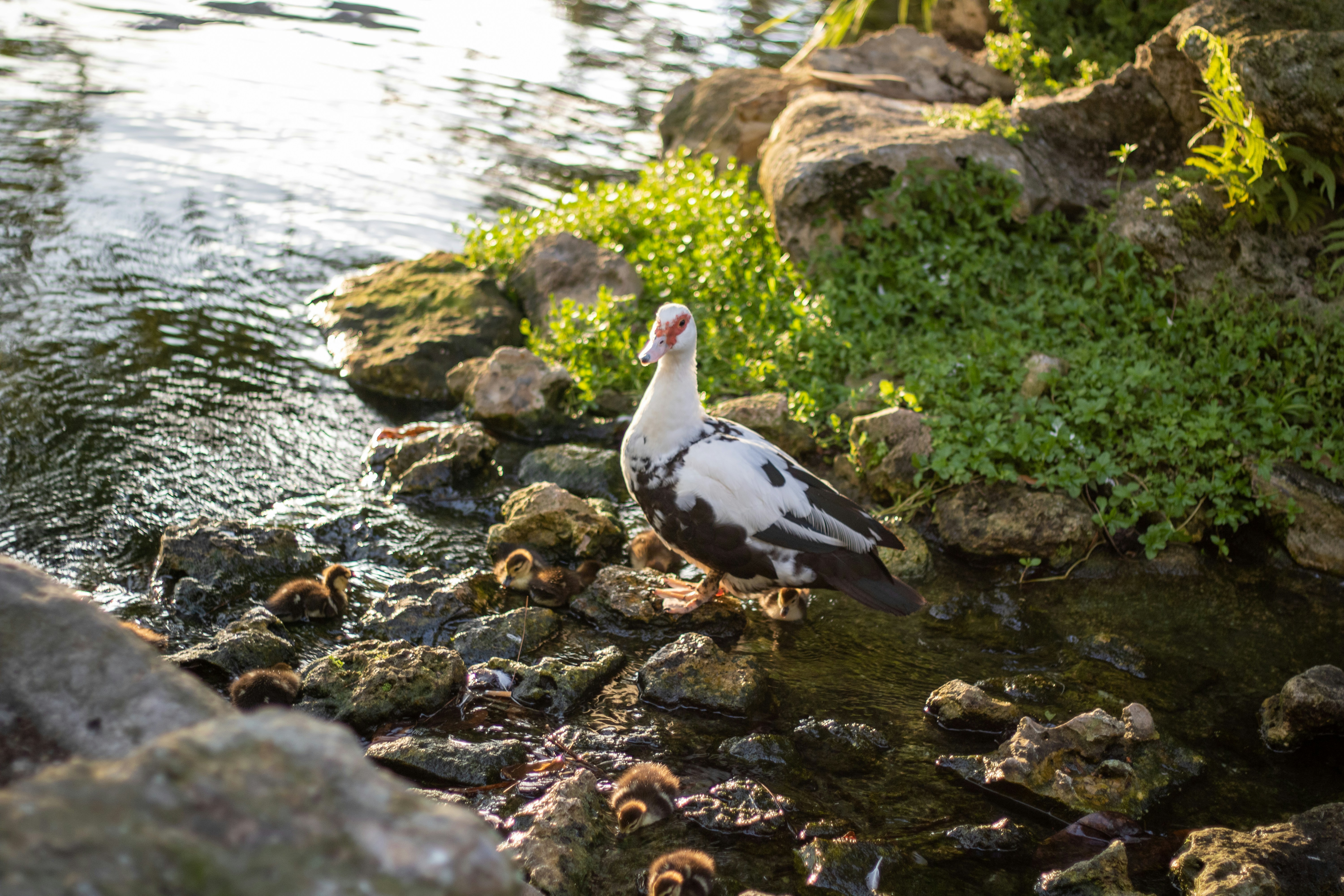 Photo by navarrovisuals