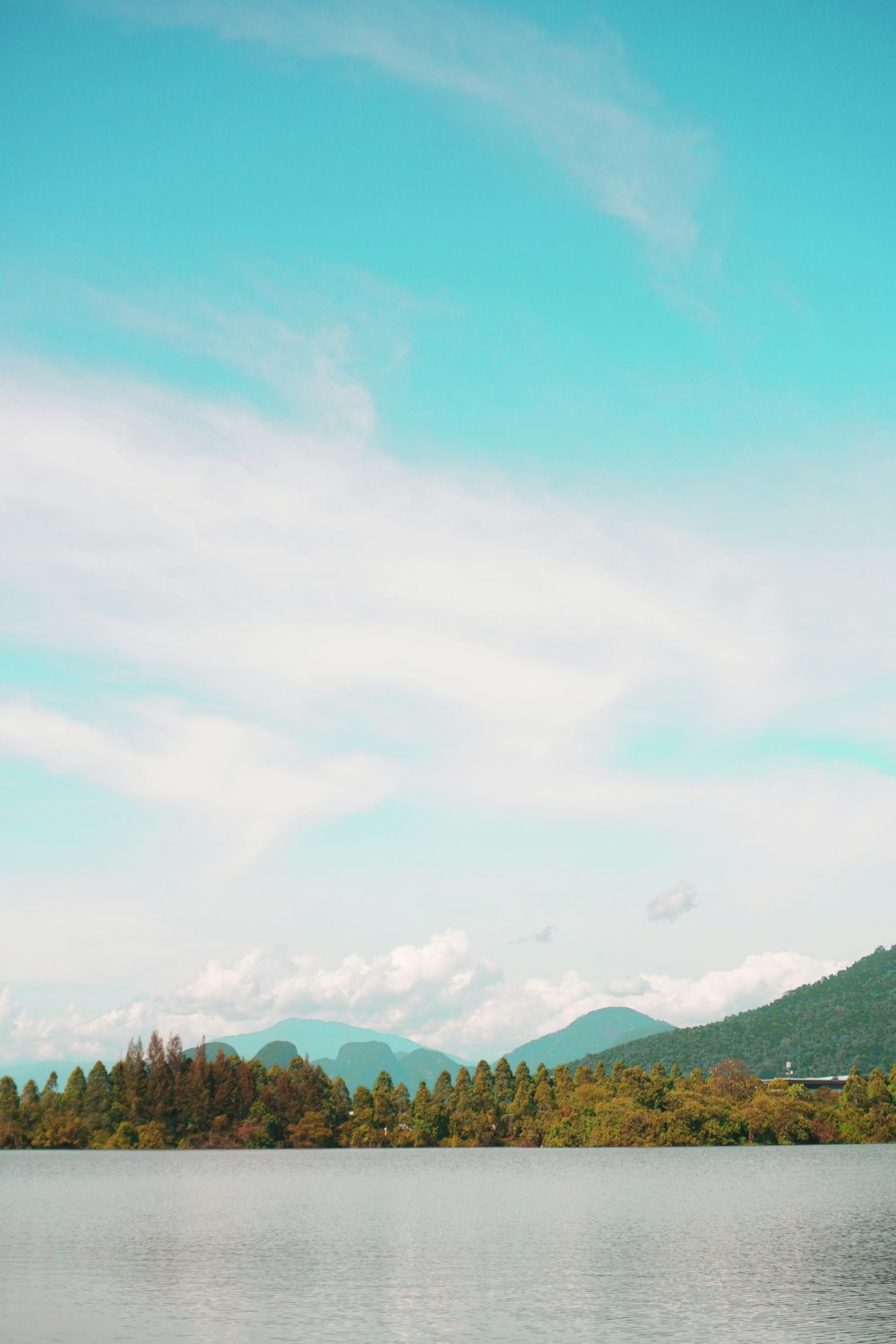 a body of water with trees and mountains in the background