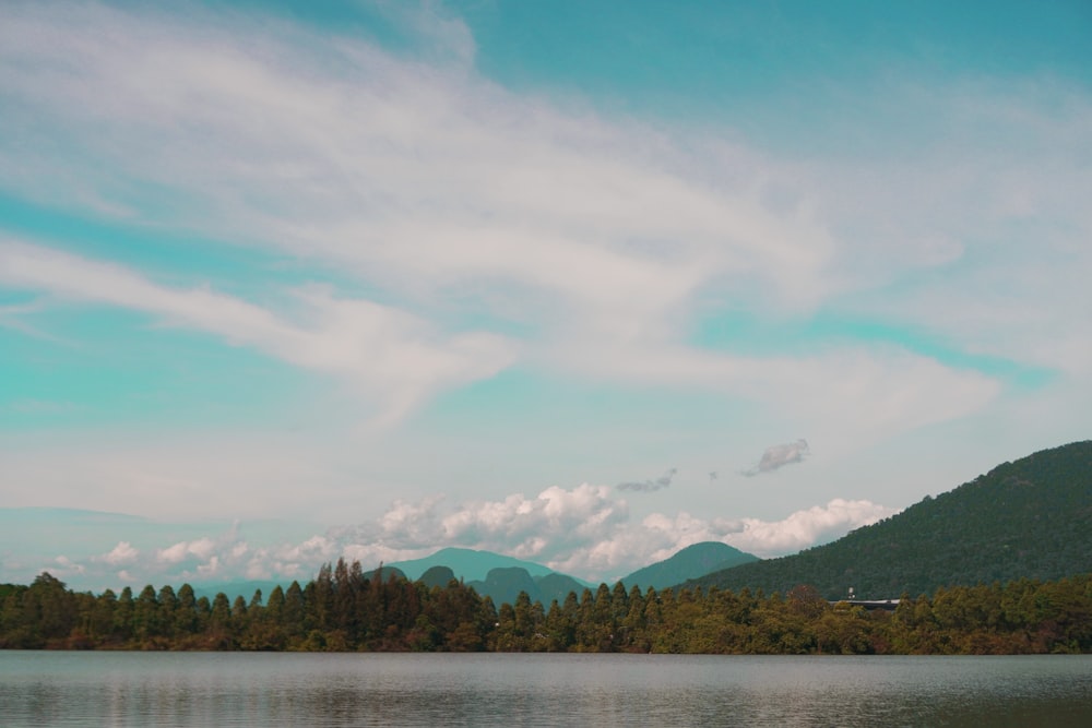 un plan d’eau avec des arbres et des montagnes en arrière-plan