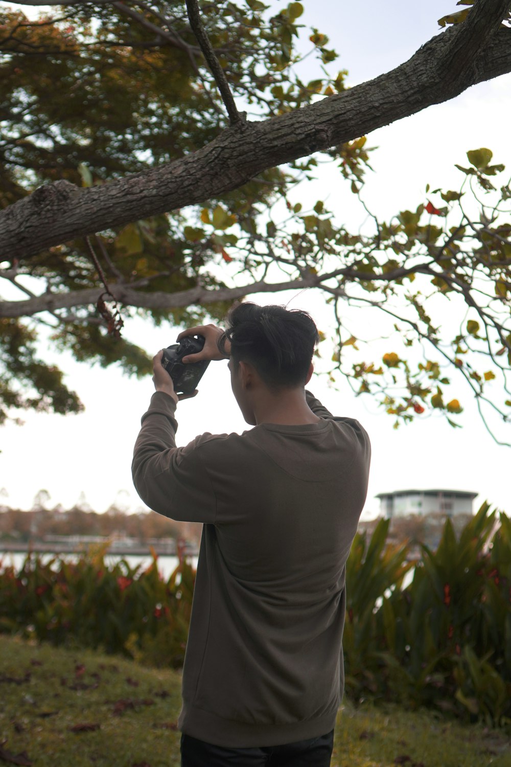 Un uomo che scatta una foto di un albero