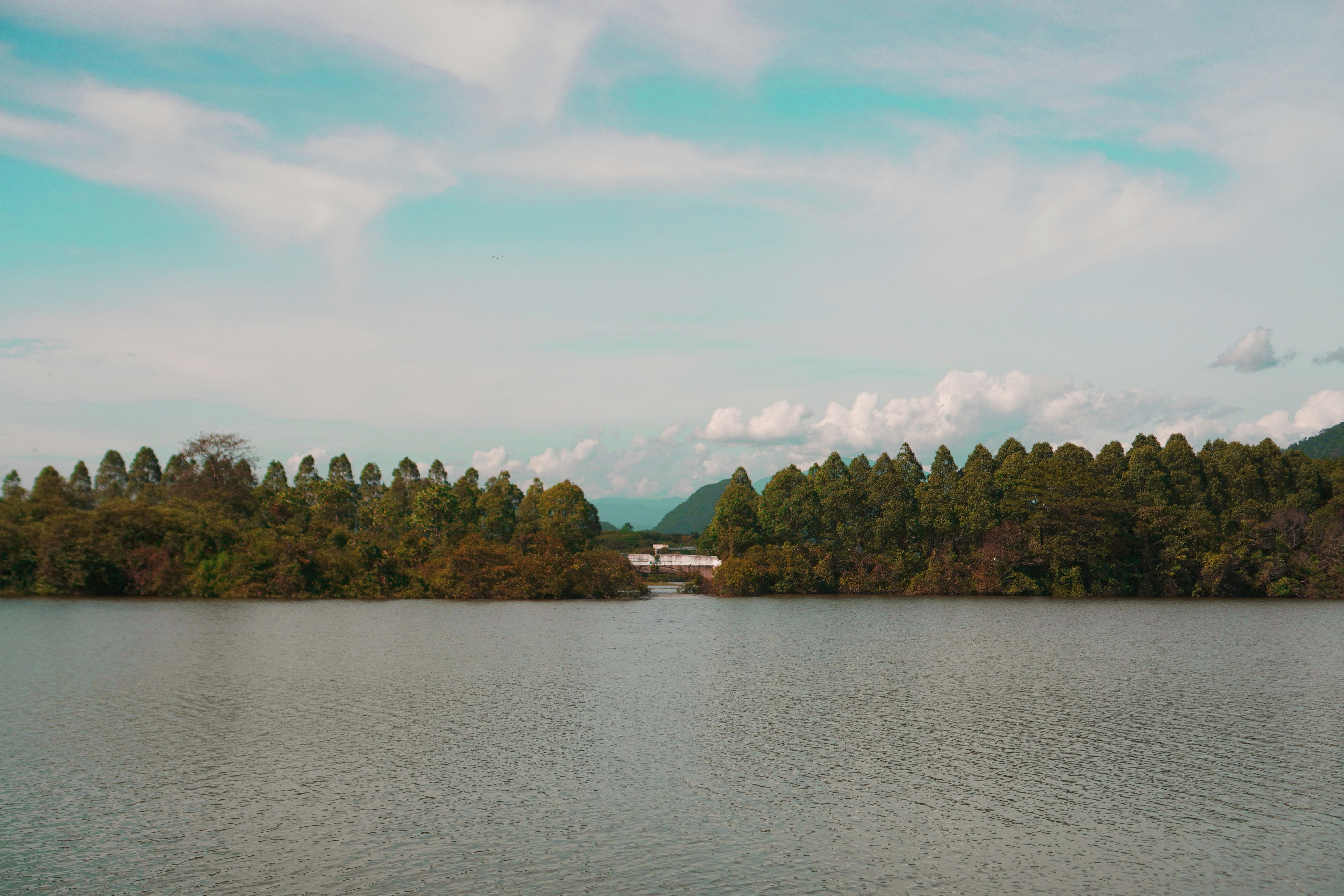 Photo by qayyum_03