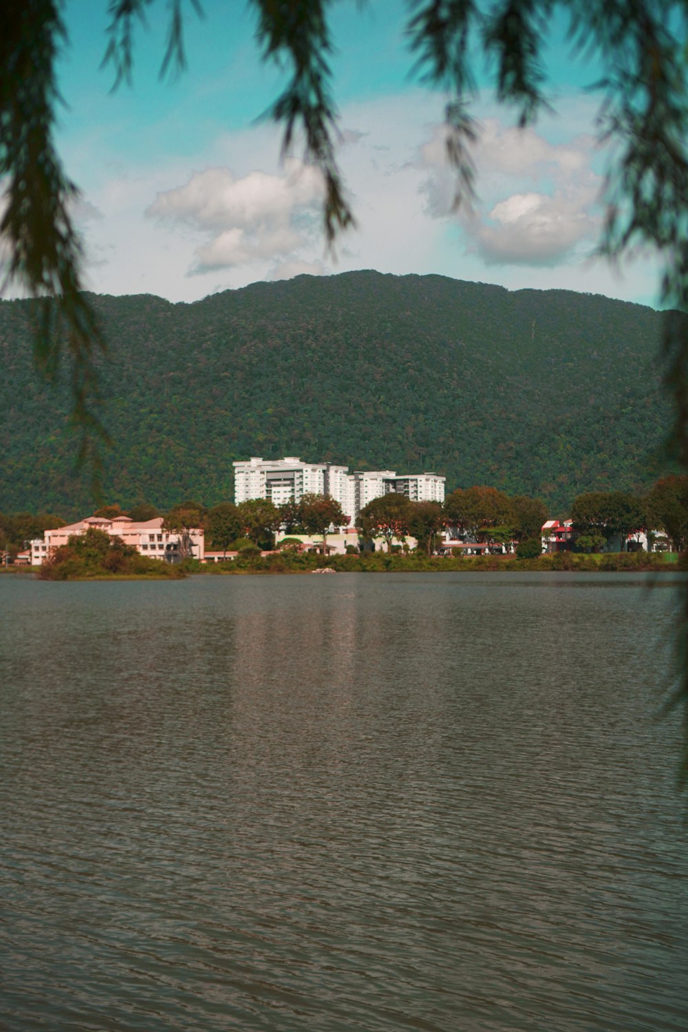 a body of water with buildings and trees around it