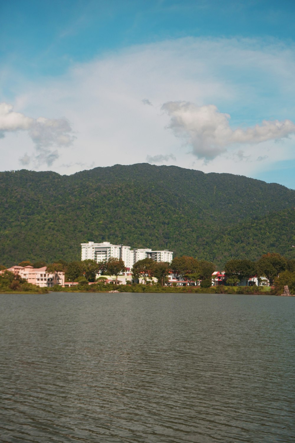 a body of water with buildings and trees around it