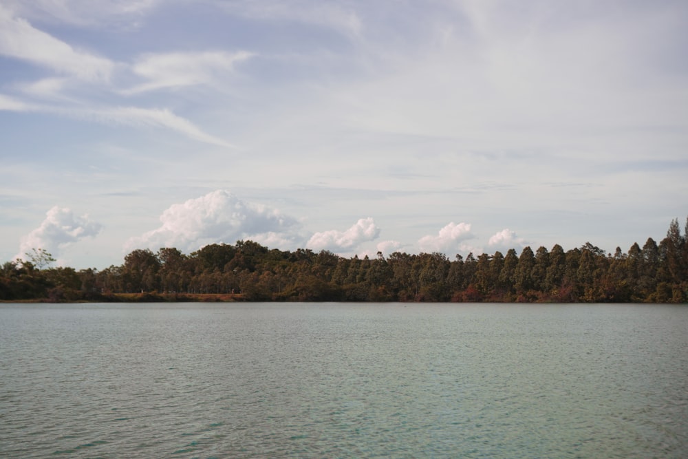 a body of water with trees around it