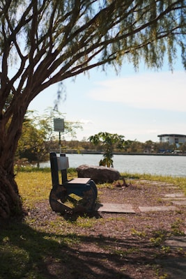 A serene riverside scene with a wooden bench partially shaded by a large tree. Sunlight filters through the branches, casting shadows on the grass. Across the water, a building is faintly visible, partially hidden by vegetation. A small plant grows beside a large rock situated near the water's edge.