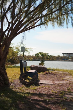 A serene riverside scene with a wooden bench partially shaded by a large tree. Sunlight filters through the branches, casting shadows on the grass. Across the water, a building is faintly visible, partially hidden by vegetation. A small plant grows beside a large rock situated near the water's edge.