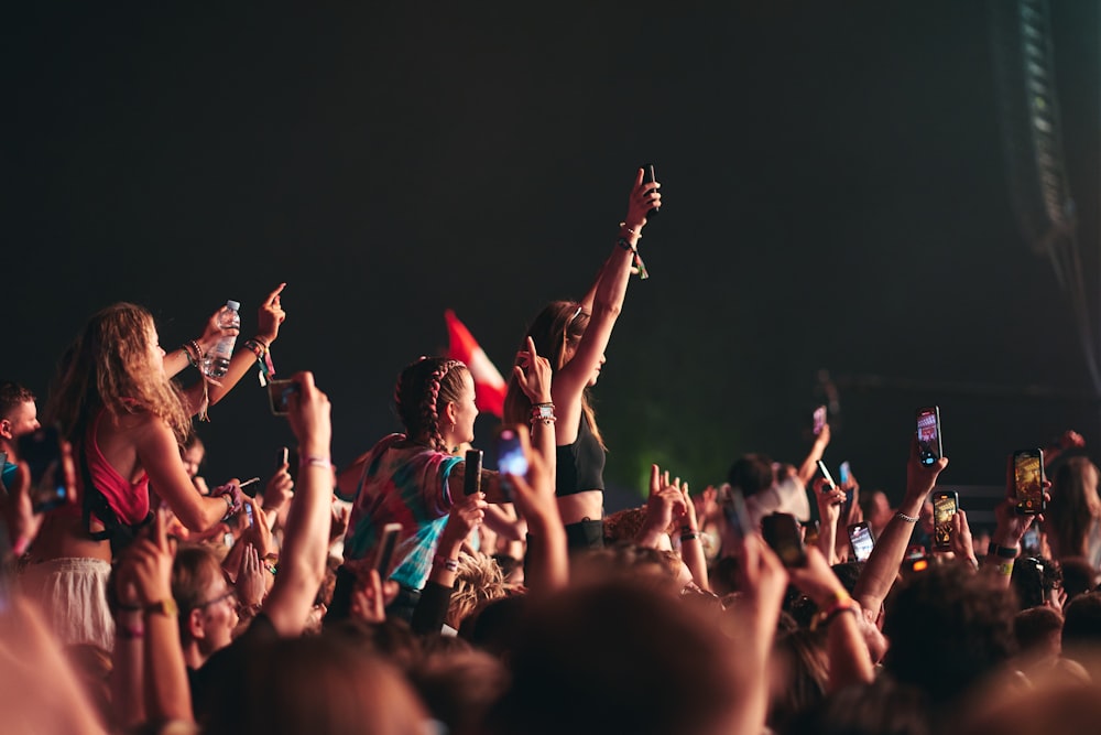 a crowd of people at a concert