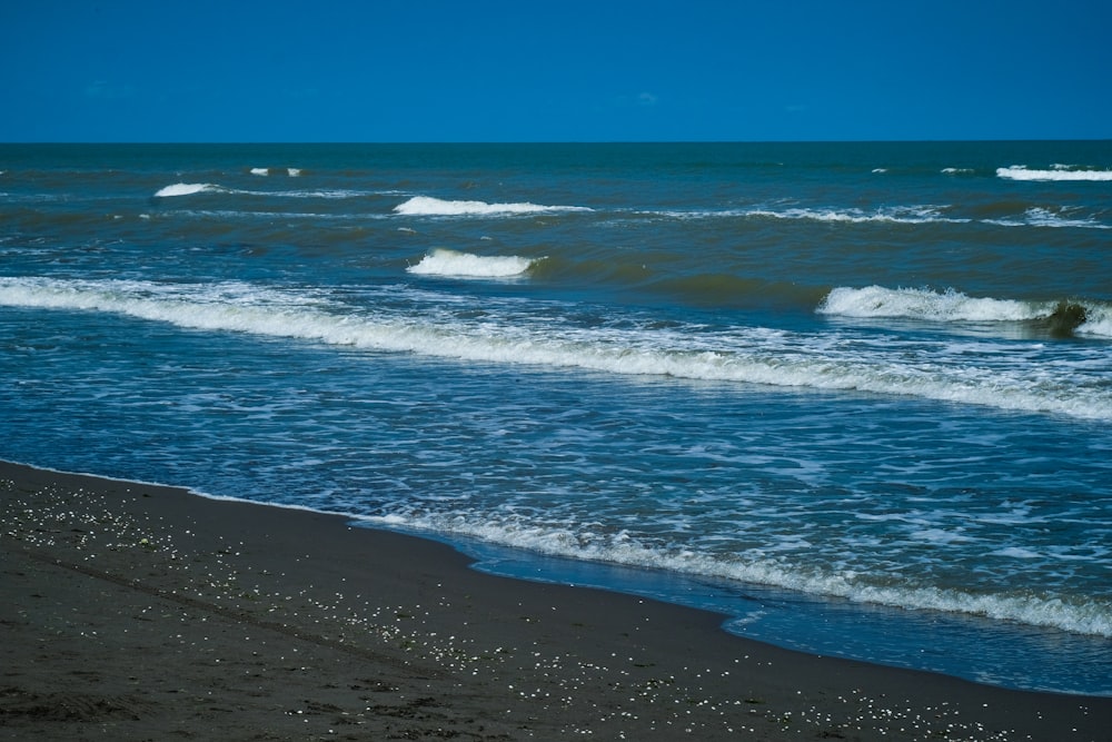 vagues s’écrasant sur une plage