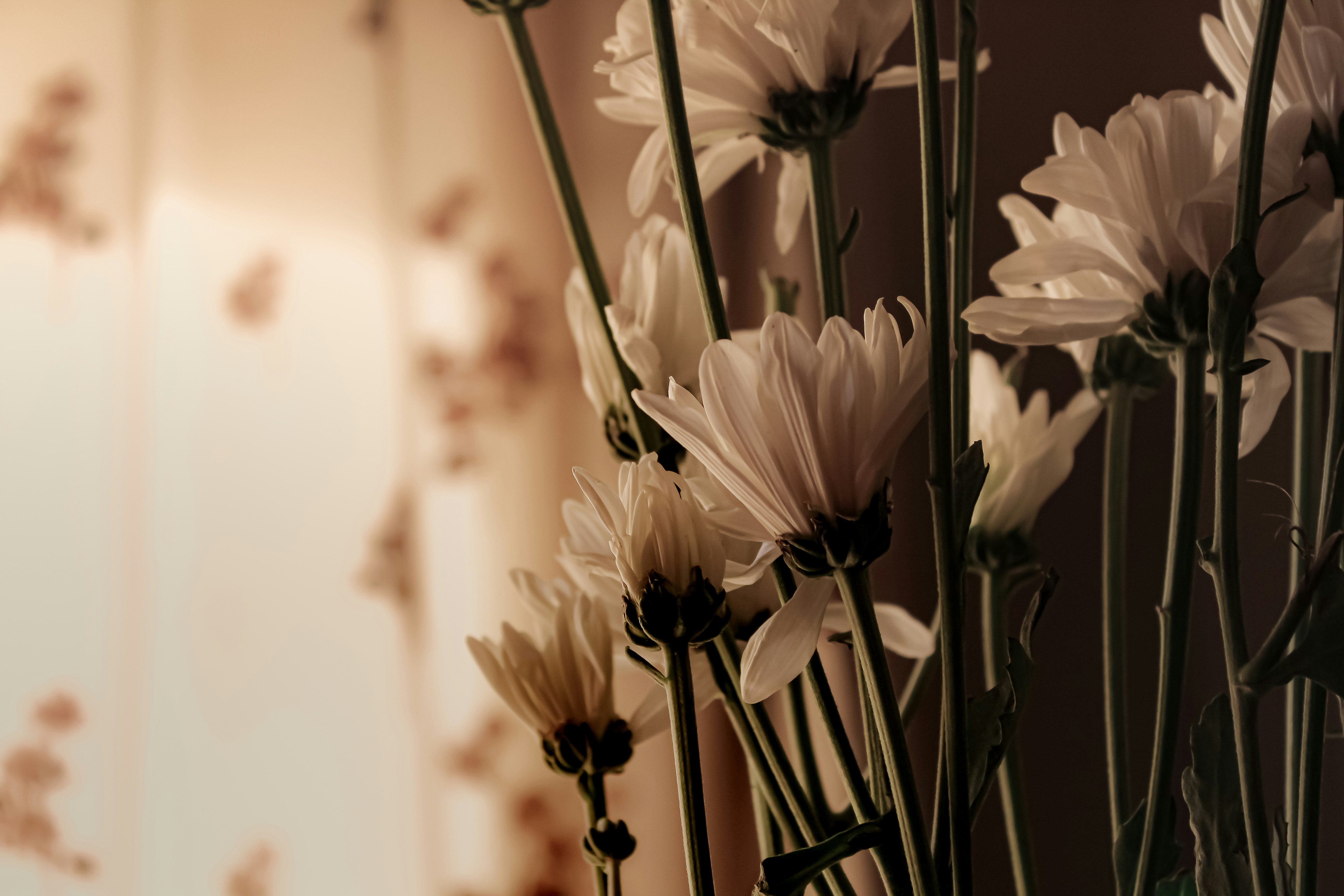 Photo by plate_stories_tsi