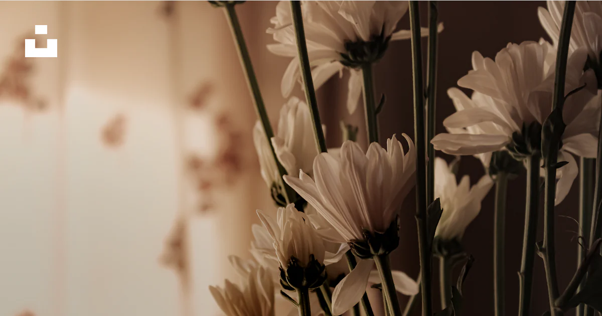A close up of a flower photo – Free Wallpaper Image on Unsplash