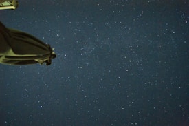 A starry night sky filled with numerous small, bright stars scattered across a dark canvas. In the lower left corner, the silhouette of a dark object, possibly an outdoor umbrella, is partially visible, adding a foreground element to the celestial scene.