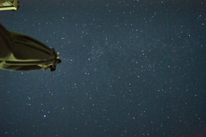 Thème Astral Complet