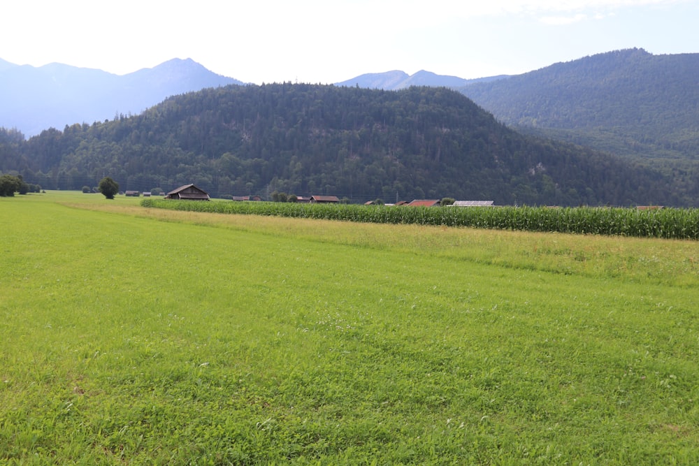 a large green field with trees and mountains in the background