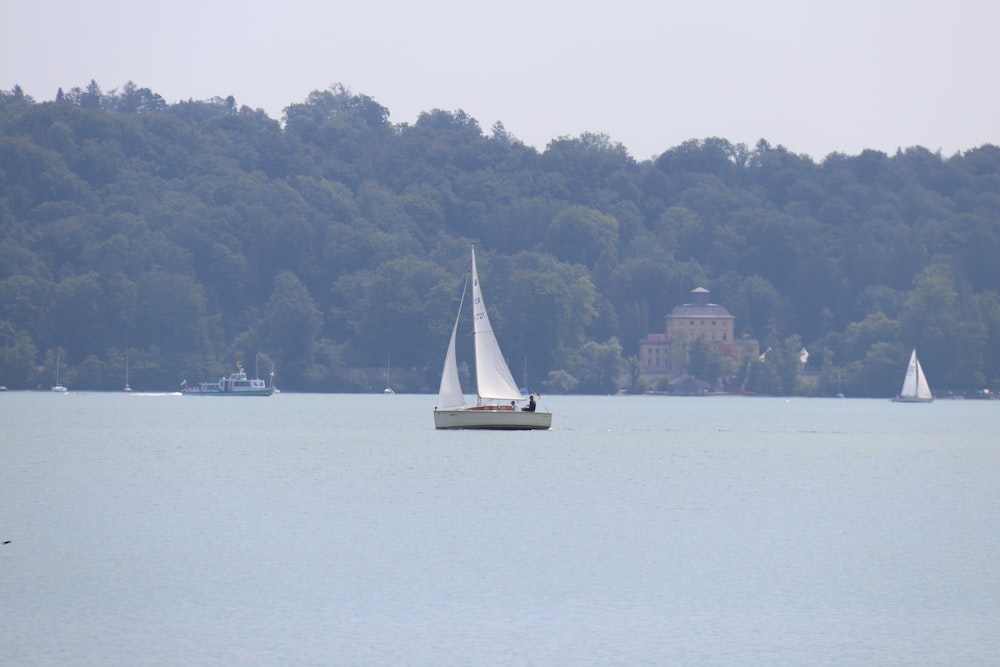 Un groupe de voiliers sur l’eau