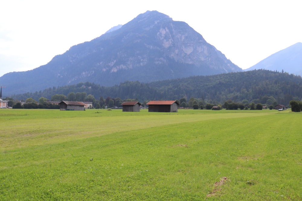 a green field with buildings and mountains in the background