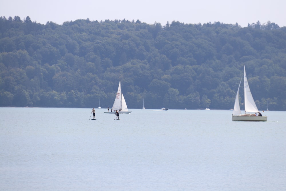 a group of people sail on a lake