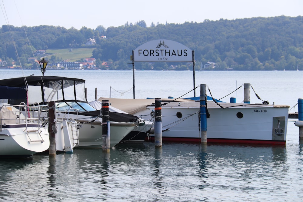 boats docked at a pier