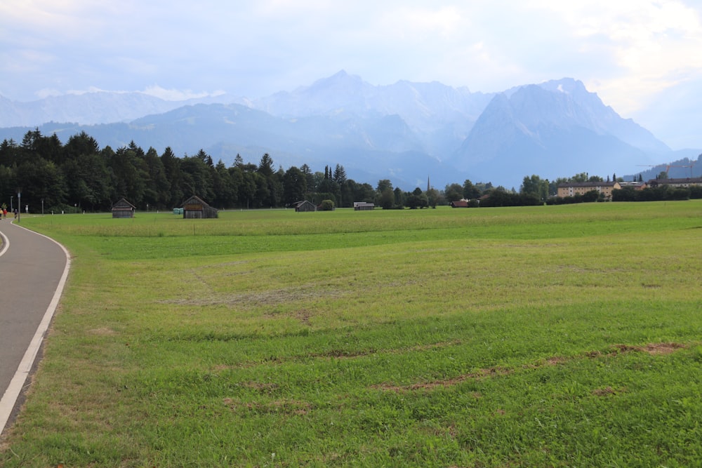 a large green field with trees and mountains in the background